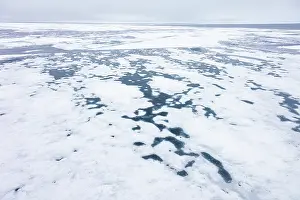 Climate Change: Drift ice