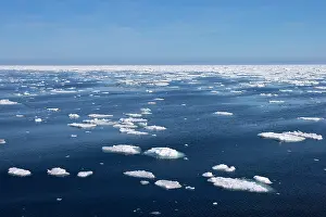 Climate Change: Drift ice