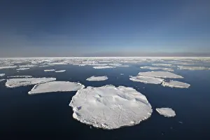 Drifting: Drifting ice in the arctic sea near Nordaustland