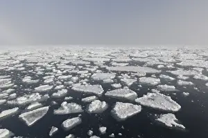 Drifting: Drifting round ice floes - Nordaustland - Svalbard, Norway