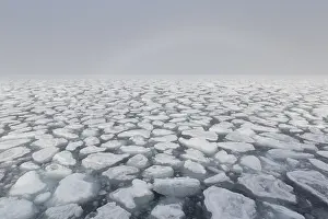 Drifting: Drifting round ice floes - Nordaustland - Svalbard, Norway