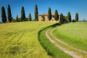 Pienza: Drive leading to country villa near Pienza