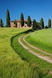 Pienza: Drive leading to country villa near Pienza