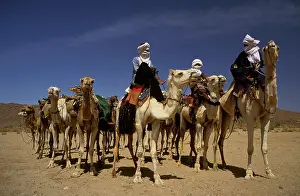 Nomads: Dromedary camel train - Tuareg nomads taking their