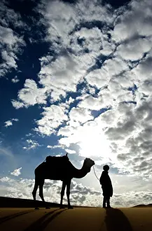 Chris Brunskill: Dromedary - with desert guide