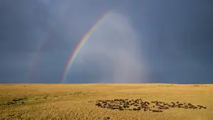 Unlimitedness: from a drone
