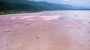 Bogoria: from a drone machine