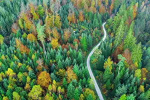 121119: Drone shot, autumn in the Swabian Forest, Herrenbachtal