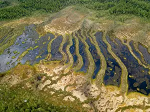 Structures: Drone shot, moor landscape, wetland, abstract structures
