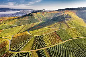 251119: Drone shot, vineyards in autumn, near Str&, x2dc2696c;bach