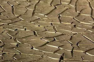 Cracked: Drought