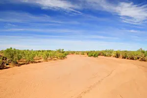 Evidence: drought - completely dried out riverbed, which