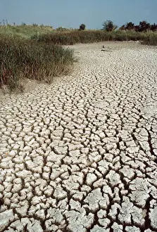 Textures: DROUGHT - DRIED UP POND