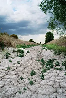Entry: DROUGHT - Dry river bed of River Ciguela at its