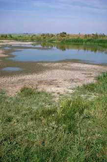 Douglas Napier: Drought - Romney Marsh, UK