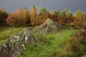 Druid: Druid hill, BrocA liande, Brittany, France