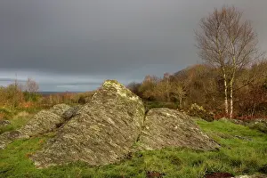 Druid: Druid hill - Paimpont forest, BrocA liande, Paimpont