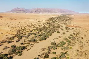 Ugab: The dry bed of the Ugab river cuts through arid desert plain