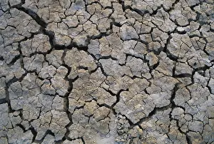 Crumbly: Dry Mud