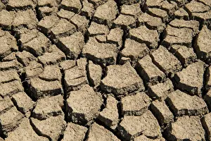 Tideland: Dry mudflat, torn up mudflat bottom, Wadden Sea