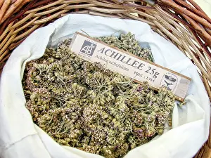 Millefolium: Dry plant (Achillea millefolium) for infusion with