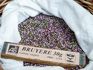 Calluna: Dry plant (Calluna vulgaris) for infusion with its