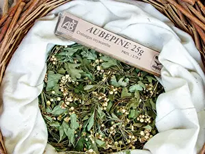 Crataegus: Dry plant (Crataegus oxyacantha) for infusion with