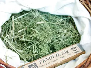 Foeniculum: Dry plant (Foeniculum vulgaris) for infusion with