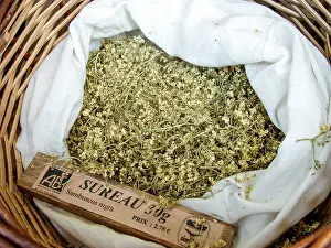 Sambucus: Dry plant (Sambucus nigra) for infusion with its