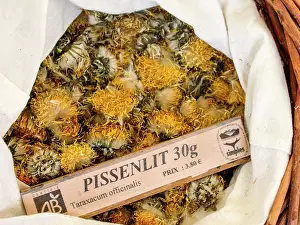 Officinale: Dry plant (Taraxacum officinalis) for infusion with