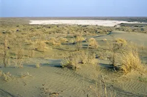 Karakum: Dry salt marsh - surrounded by sand dunes - a typical