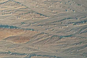Dryness: Dry streams after years of drought grown with hardy petal bu
