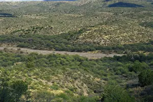 Shrubby: Dry Wash in Arizona