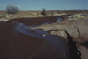 1980: Dry Wash in Arizona