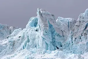 Drygalski: Drygalski fjord - Ristinge Glacier