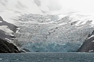 Drygalski: Drygalski fjord - Ristinge Glacier