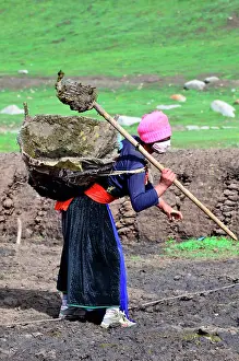 Tibet: before drying it for fire