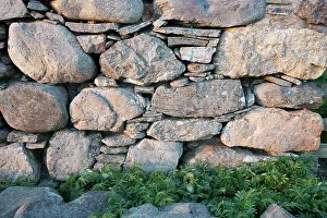 Croft: Drystone Wall - of abandoned croft