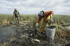 Garbage: Duck Botulism Clean-up