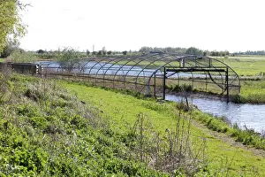 Decoy: Duck Decoy - Wildfowl & Wetlands Trust