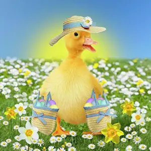 Bonnet: Duck