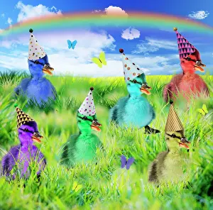 Kitsch: Duck