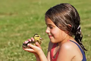 Choosing: Duck - young girl holding duckling