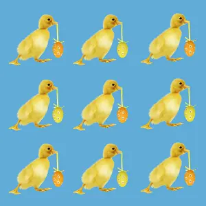 280219: Ducklings carrying Easter egg pattern