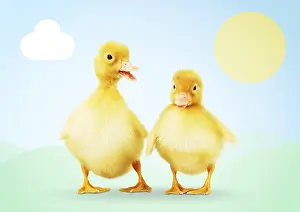 161118: Ducklings in spring, illustrated spring scene