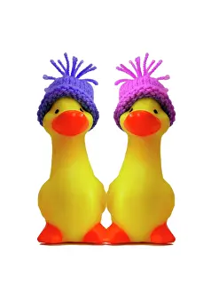 Wooly: Ducklings - in wooly hats