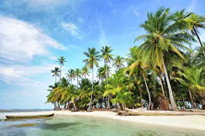 Arecaceae: Dugout boat, deserted beach with palm trees on a