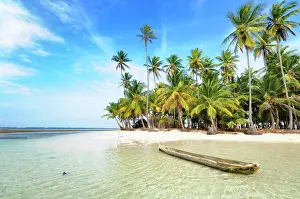 Arecaceae: Dugout boat, deserted beach with palm trees on a