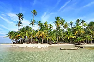 Arecaceae: Dugout boats, deserted beach with palm trees on