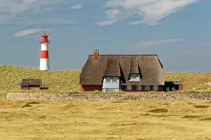 Frisian: Dune landscape, eastern lighthouse on the Ellenbogen